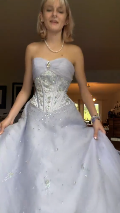 A Line Strapless Party Dress Long Evening Dress Prom Dresses fg7814
