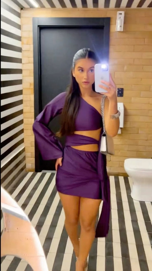 Purple Short Evening Dress Cocktail Dresses Short Party Dress fg7859