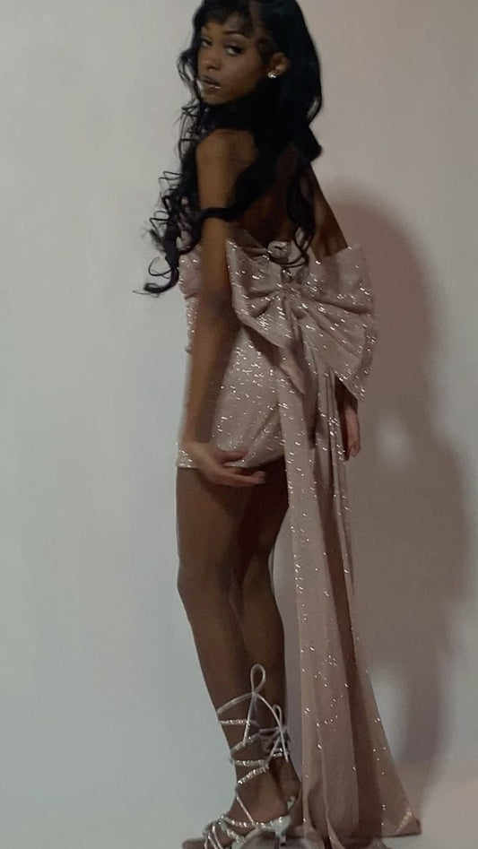 Sparkly Homecoming Dress Short Evening Dress Cocktail Dresses Short Party Dress With Bow fg7969