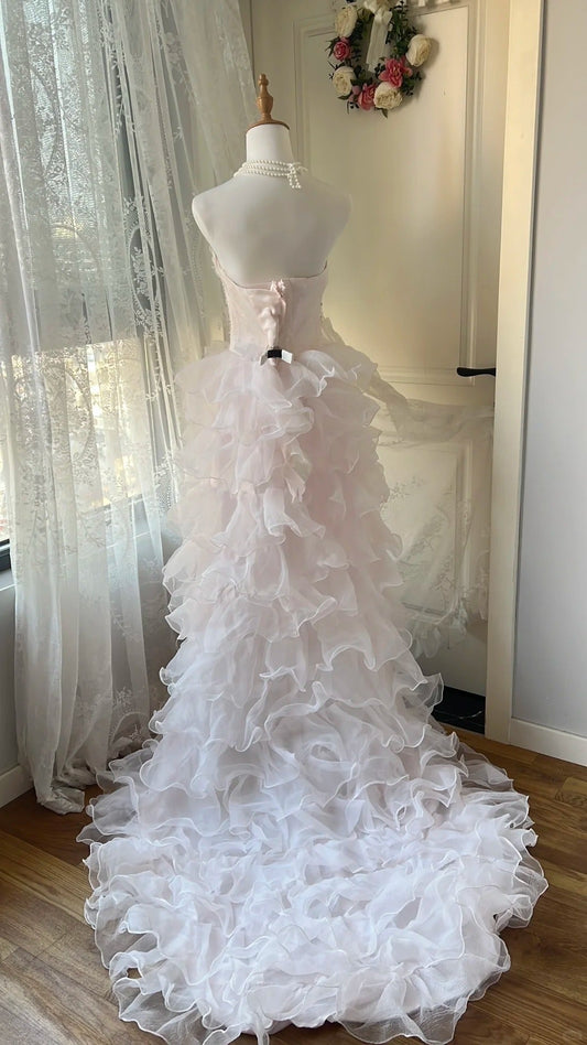 Stunning Homecoming Dress Strapless Tulle Hi-Lo Bowknot Back to School Outfits Party Dress D6454