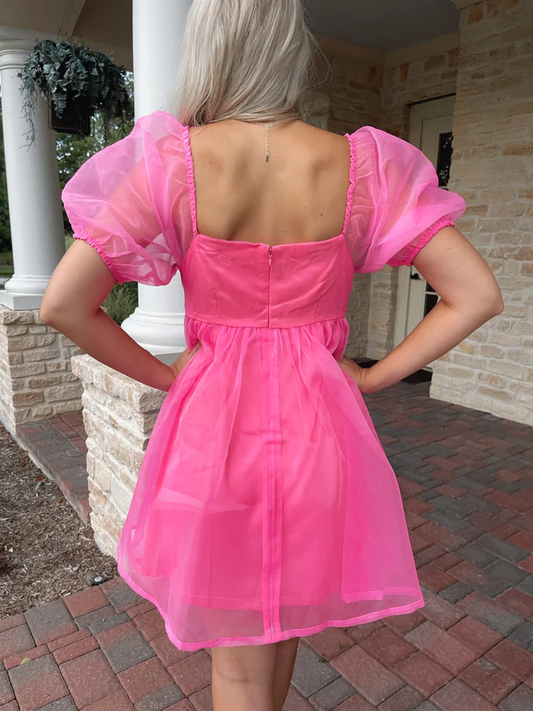 Organza Pink Baby Doll Dress,Pink Birthday Dress,Pink Homecoming Dress Y2060