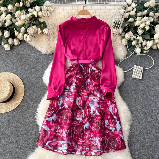 elegant dress for women elegant lady dress long skirt S4508