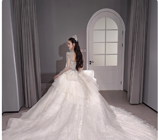 Chic A-Line Long Wedding Dresses Tulle White Bridal Gowns Long Sleeves Bridal Dresses DP04595