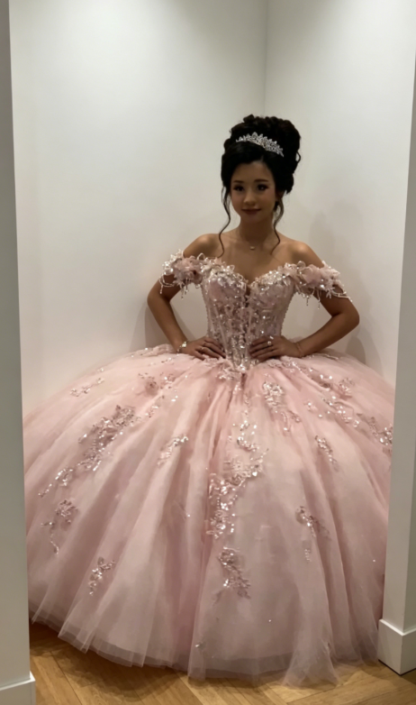 Chic Off-shoulder Ball Gown Birthday Dress Tulle Beaded Quinceanera Dress Pink Sweet 16 Dress DP05560