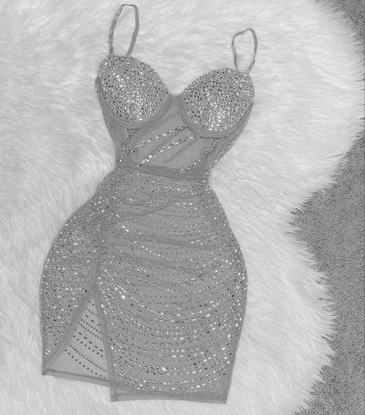 Sexy See-through Silver Homecoming Dress,Short Homecoming Dress,Silver Club Dress Y2087