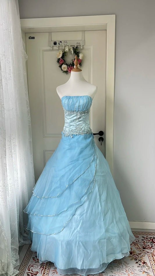 Dreamy Princess Blue Strapless Embroidered Tulle Ball Gown Evening Dresses Sweet 16Th Birthday Dresses