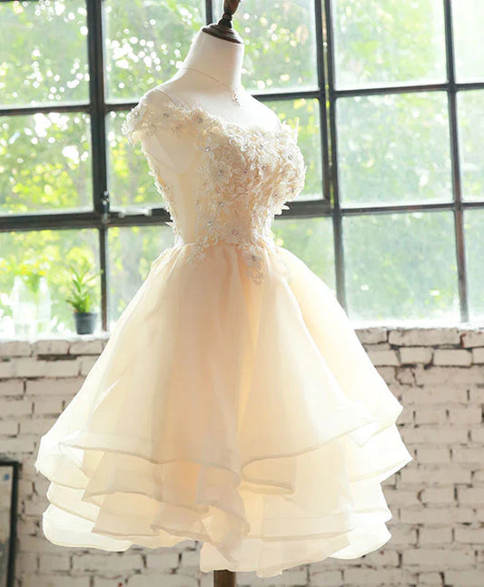 Champagne Lace Tulle Short Prom Dress, Homecoming Dress S3523