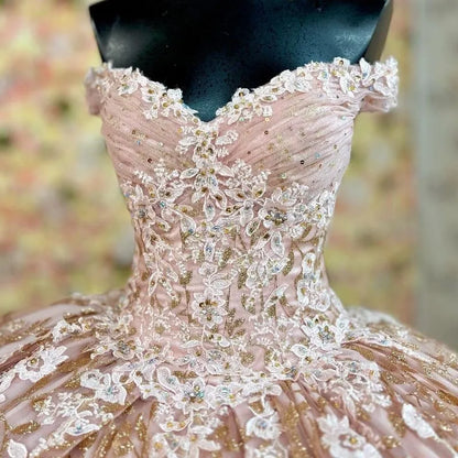 Quinceanera Dress Prom Ball Gowns Applique Corset Back Prom Sweet 16 Dress