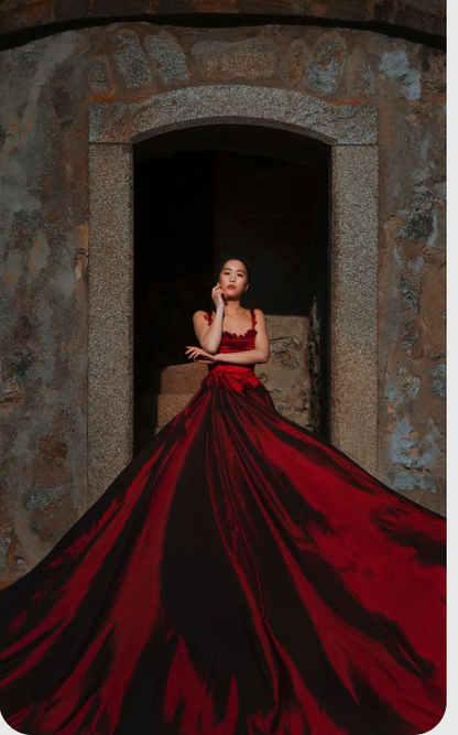 Wonderful Red Long Prom Dress Sleeveless Evening Dress Y308