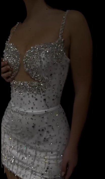 Sexy Beaded Short Prom Dress Birthday Party Dress Homecoming Dress   fg8162