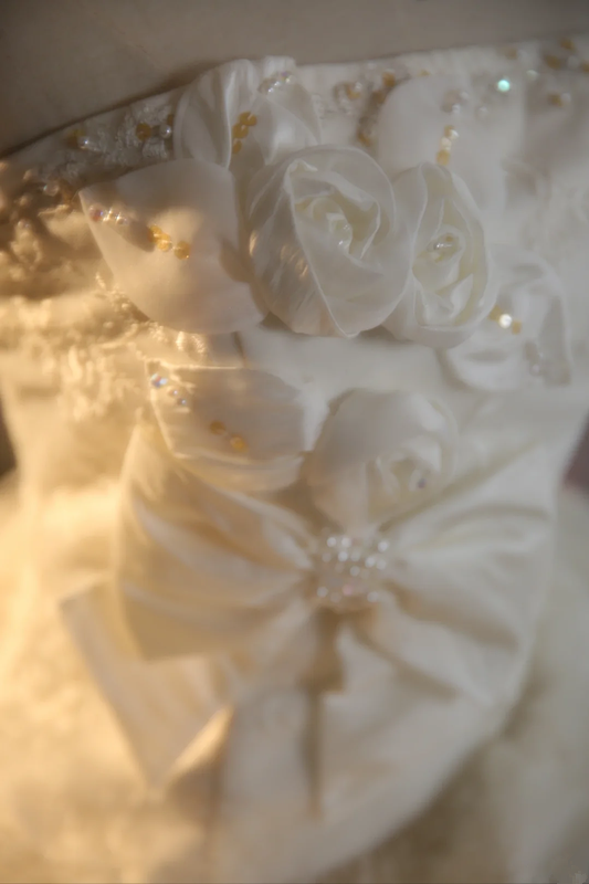 White strapless, fitted waist, elegantly embellished long ball gown/bridal dress R7270