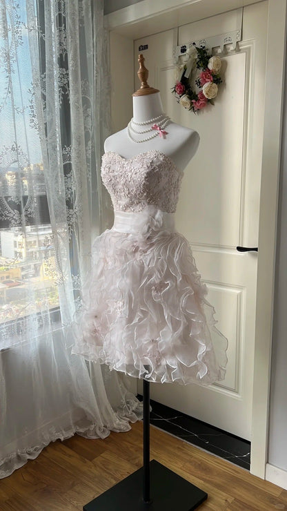 Cute Homecoming Dress Sweetheart Applique Tulle Back to School Outfits Party Dress  D6452