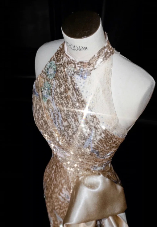 Champagne Sequin Prom Party Dress Shiny Evening Dress Birthday Outfit fg8687