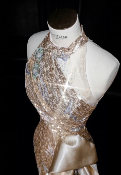 Champagne Sequin Prom Party Dress Shiny Evening Dress Birthday Outfit fg8687
