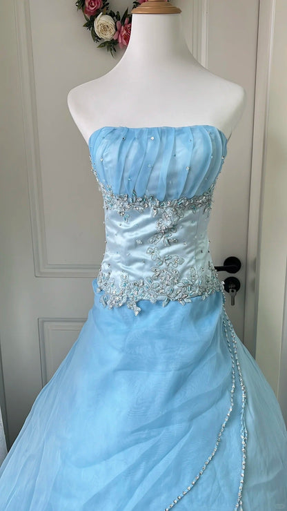 Dreamy Princess Blue Strapless Embroidered Tulle Ball Gown Evening Dress Sweet 16 Dress cc5348