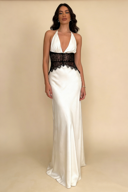 Pretty Prom Dress V-neck Backless Lace Long Evening Dress Gala Dress Party Dress   D4631