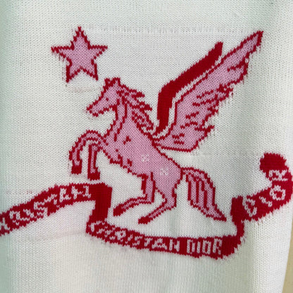 Dior 2025 Pegasus Sweater Red and White Wool 331277
