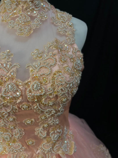 Elegant Ball Gown Crew Neck Tulle Applique Quinceanera Dress Evening Dress 18th Birthday Prom Gown       D5067