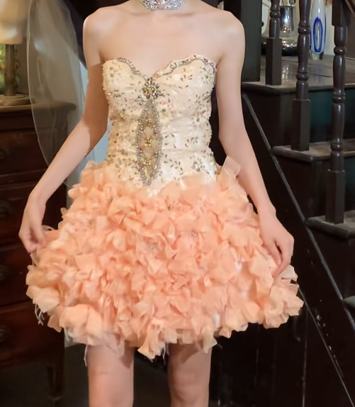 Pretty Prom Dress Sweetheart Beaded Short Gala Gown Evening Dress    D5272