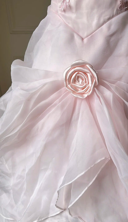 Pretty Ball Gown Light Pink Off Shoulder Pleated Evening Dress Sweet 16th Dress Birthday Party Gown       D5356