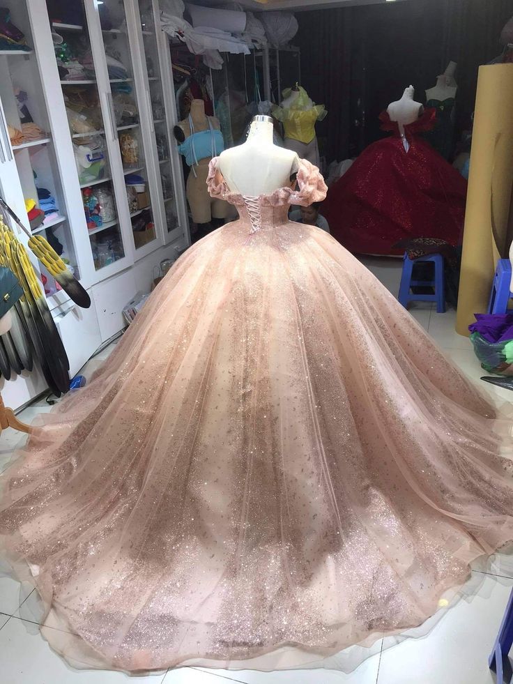 Champagne Pink Sparkly Dress Long Evening Dress Princess Sparkly Pink Dress Quinceanera Dress Ball Gowns