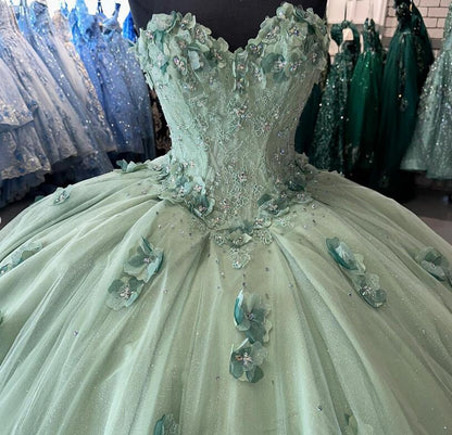 Quinceanera Dress Ball Gown Sweet 16 Dresses Long Prom Dresses