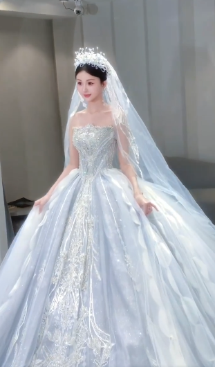 Gorgeous Ball Gown Strapless Tulle Sequin With Veil Long Wedding Dresses C4087
