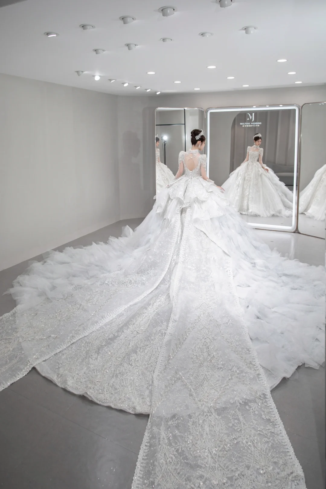 Gorgeous Ball Gown Tulle Sequin Long Sleeves Long Wedding Dresses C4090