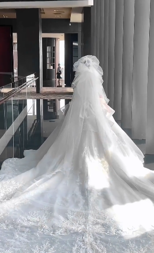 Dreamy Ball Gown Off The Shoulder White Tulle Lace With Veil Long Wedding Dresses C4098