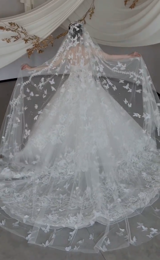 Dreamy White Ball Gown Starpless Tulle Lace With Veil Long Wedding Dresses C4105