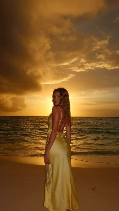 Sexy Spaghetti Straps V Neck Backless Yellow Long Party Dress Prom Gown
