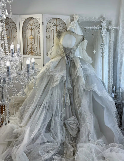 Gorgeous A-Line Gray Long Wedding Dress Jewel Tulle Beaded Bridal Dress Long Sleeves Bridal Gown DP04868