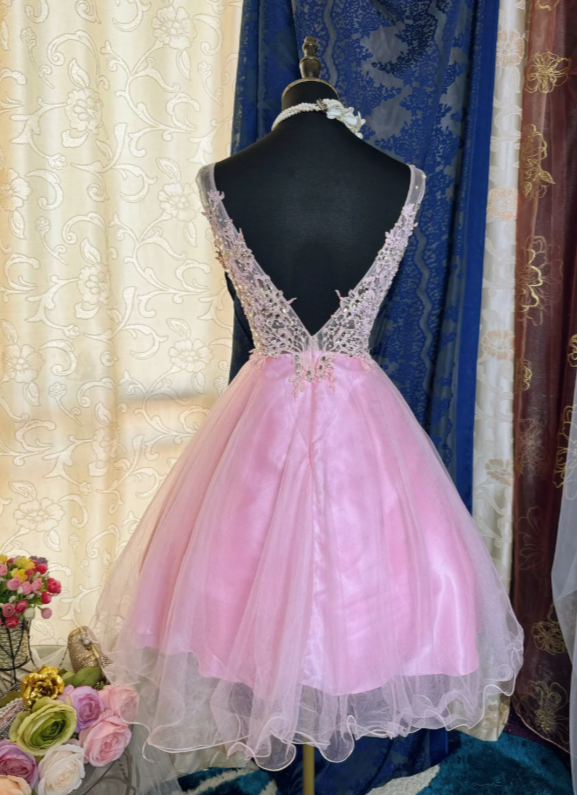 Chic Pink Short Homecoming Dress V-neck A-Line Tulle Birthday Dress Sleeveless Party Dress  DP05859