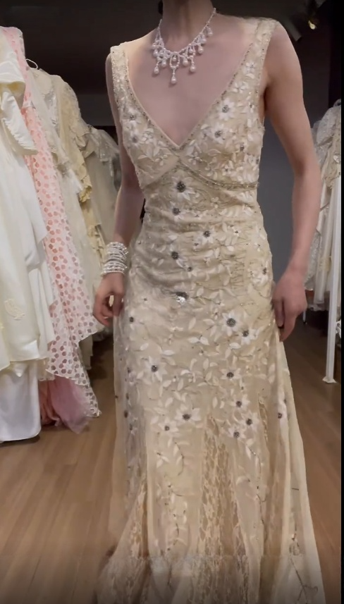 Gorgeous Mermaid V Neck Lace Applique Beaded Long Prom Dress, Party Dress, Evening Dress GG2549