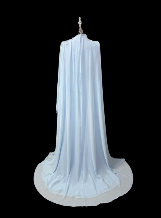 Beauty Mother of Bride Dress A Line Long Sleeve Pleated Mother of Bride Dress   D3151