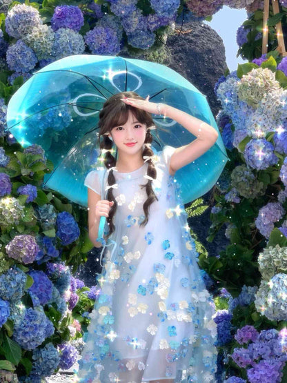 Gentle and sweet style blue flower short-sleeved dress holiday style A-line long skirt R0721