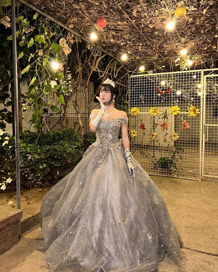 Dreamy Princess Silver-Gray Off-Shoulder Sequined Tulle Ball Gown Evening Dress Sweet 16 Dress cc5064