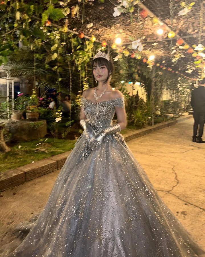 Dreamy Princess Silver-Gray Off-Shoulder Sequined Tulle Ball Gown Evening Dress Sweet 16 Dress cc5064