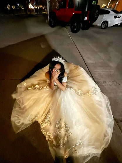 Princess Champagne Gold Off-the-Shoulder Tulle Ball Gown Evening Dress Sweet 16 Dress cc5183