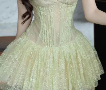 New Homecoming Dress Spaghetti Strap Lace Prom Dress Back to School Outfits Party Dress  D6258