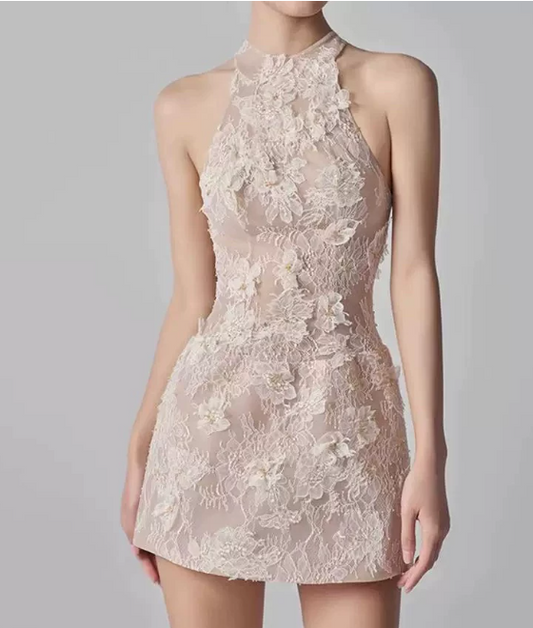 Elegant Homecoming Dress Halter Lace Applique Dress Back to School Outfits Party Dress  D6328