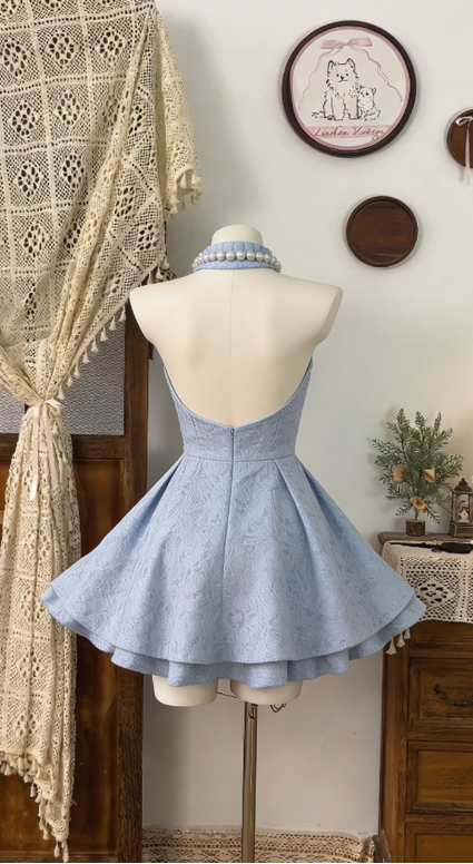 Stunning Homecoming Dress High Collar Backless Back to School Outfits Party Dress  D6498