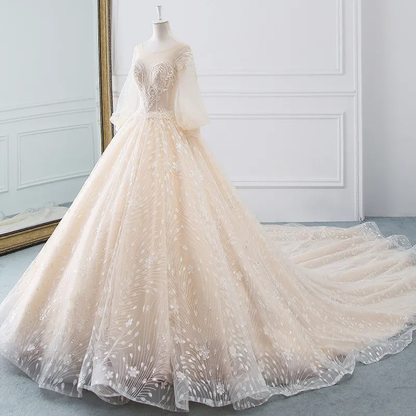 Vintage Long Sleeve Wedding Dresses Sexy Appliques Lace Ball Gown Wedding Dresses