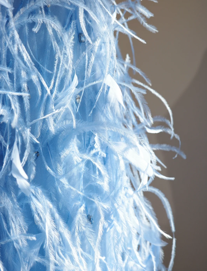 Fairy Spaghetti Straps Blue Satin Beaded Feathers A Line Birthday Prom Dress Party Dress D2151