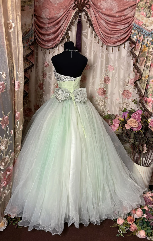 Light Green Sweetheart A-Line Tulle Vintage Long Party Dress Evening Gown, D632