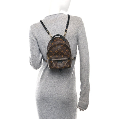 Monogram Palm Springs Backpack Mini