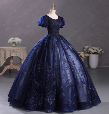 Elegant Court Navy Blue Crew Neck Puff Sleeve Embroidered Tulle Ball Gown Evening Dresses Sweet 16 Dresses
